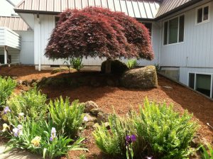 478779_601327953219906_1373210959_o