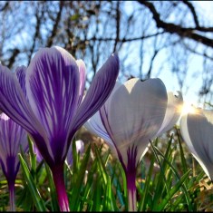 0260badafffcbd853bcec399f6e053b3